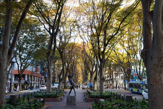 仙台定禅寺通りケヤキ並木の晩秋の紅葉